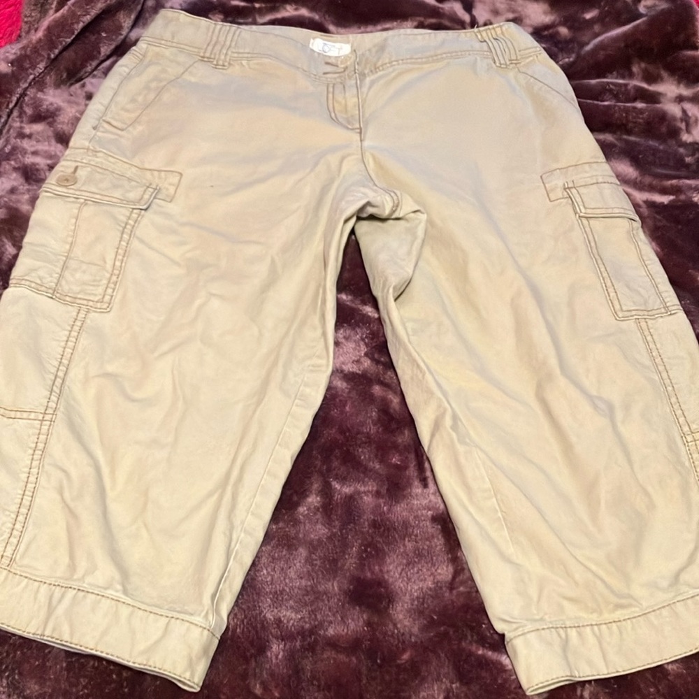 Ann Taylor Loft Capri Pants